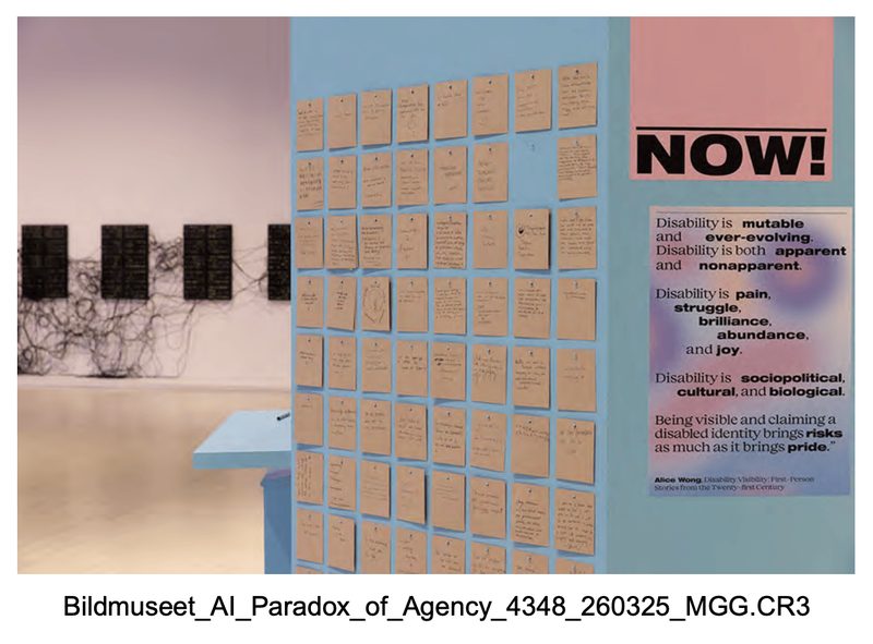 Granted — Romy Gad el Rab + Caroline Sinders